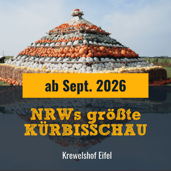 NRWs Größte Kürbisschau auf dem Krewelshof Eifel 2026