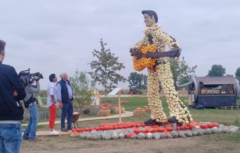 Elvisfigur aus Kürbissen.